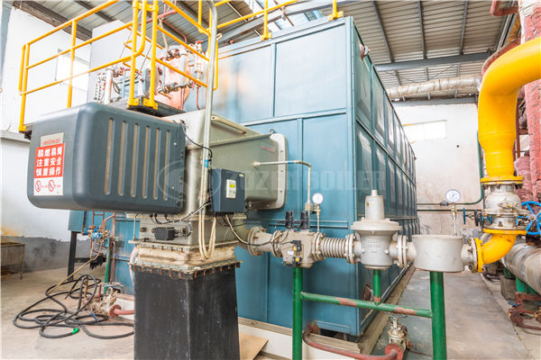 廣東燃?xì)忮仩t