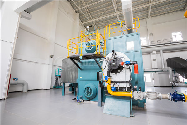 一噸的燃氣蒸汽鍋爐配合洗滌設(shè)備用