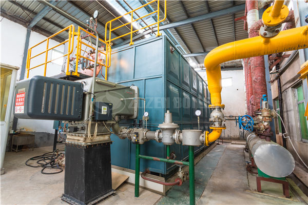 有機熱載體鍋爐要檢查什么