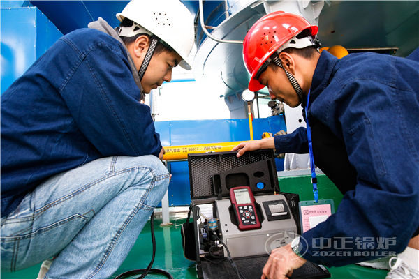 生物質(zhì)燃料鍋爐swgk