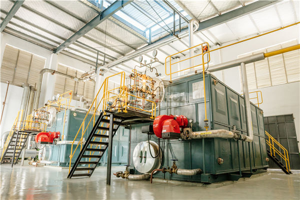 節(jié)能蒸氣鍋爐