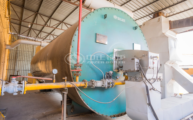 4噸蒸汽鍋爐,額定壓力0.75mpa客戶案例圖片