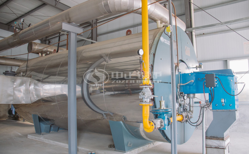 4噸鍋爐 萬大卡耗天然氣客戶案例圖片