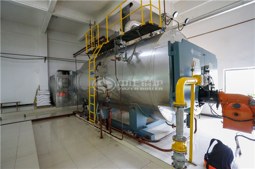 20噸燃?xì)庹羝仩t批發(fā)價(jià)格