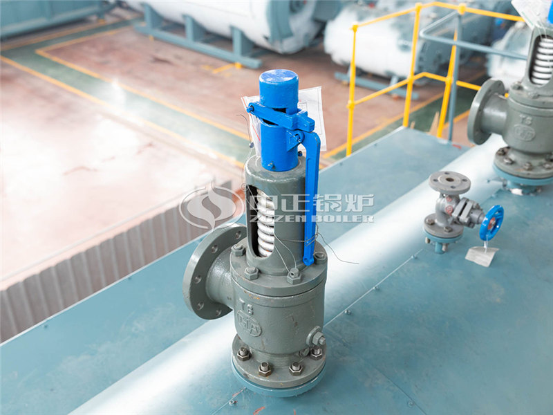 2T燃?xì)庹羝仩t得多少錢