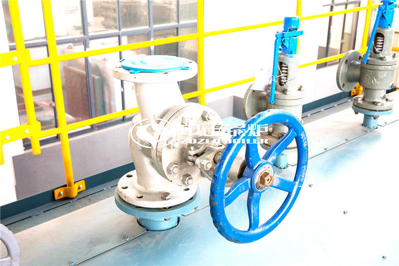 二十噸燃?xì)庹羝仩t廠家