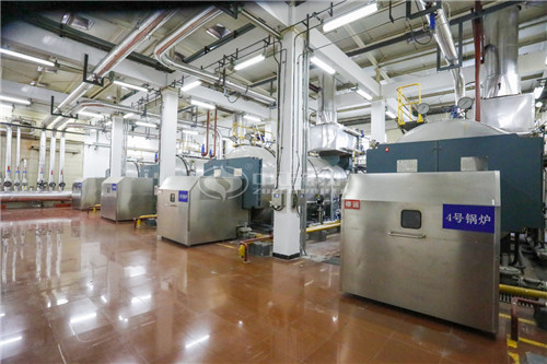 燃?xì)鈱?dǎo)熱油鍋爐公司多少萬(wàn)能買(mǎi)到