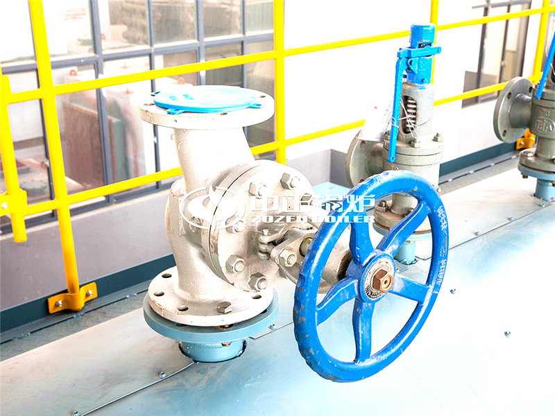 一臺10T燃?xì)鉄崴仩t多少錢