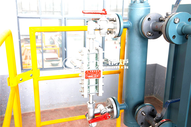 一臺(tái)30噸燃?xì)庹羝仩t價(jià)格貴嗎