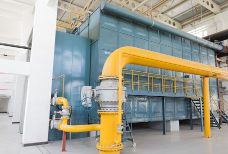 燃?xì)忮仩t 廠家